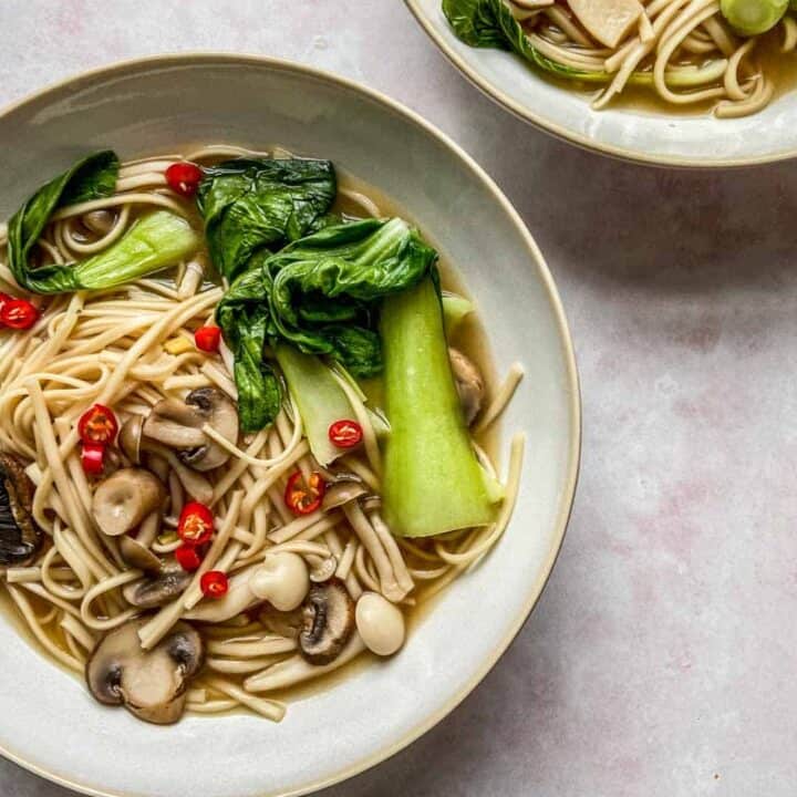 Udon Noodle Soup