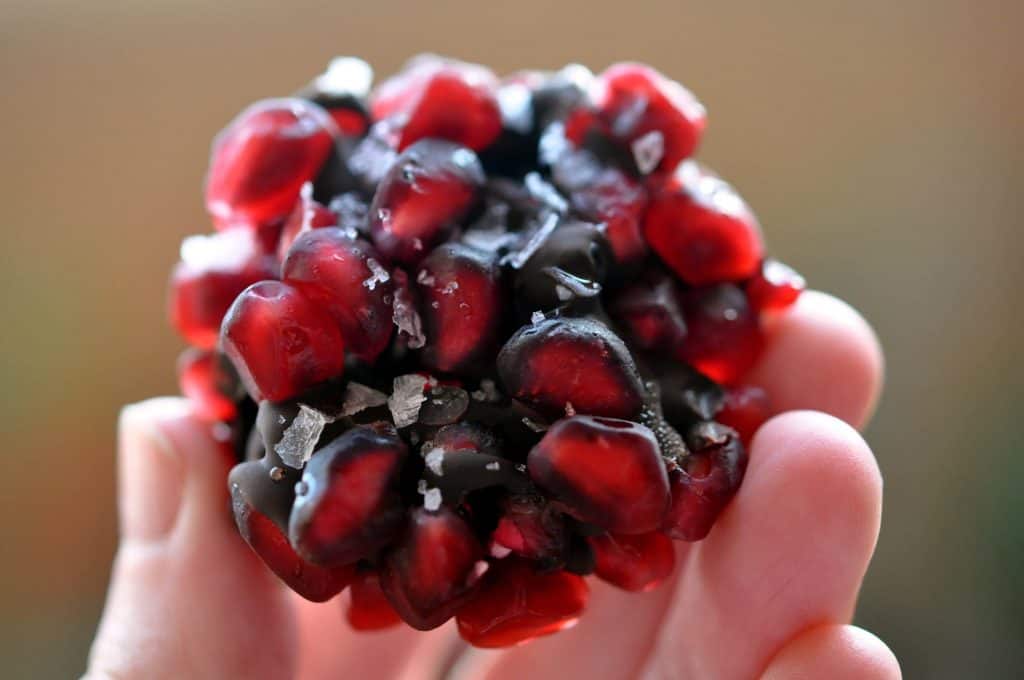 pomegranate dark chocolate bite closeup