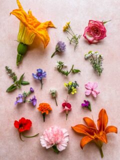 Several types of edible flowers on a pink background.
