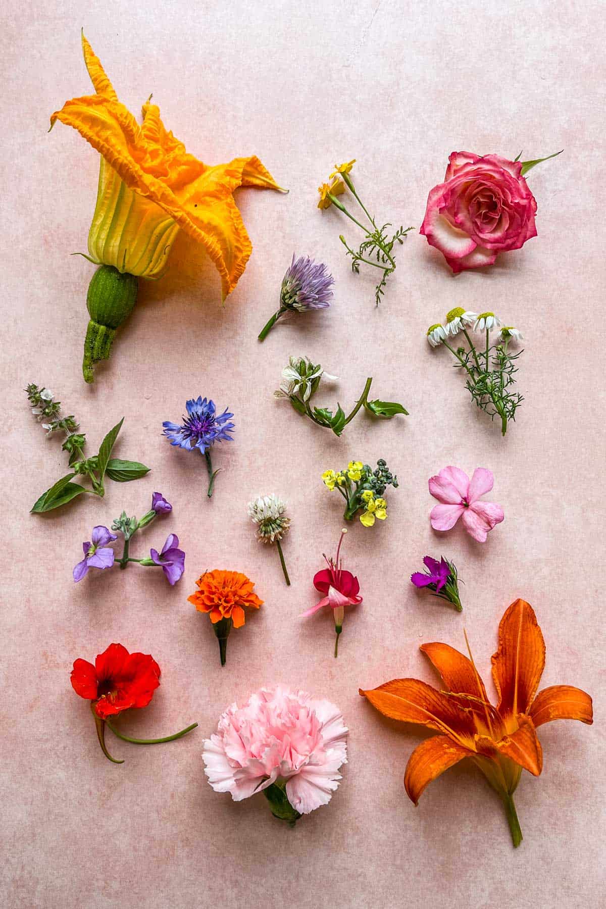 Edible flower shortbread - She Can't Eat What