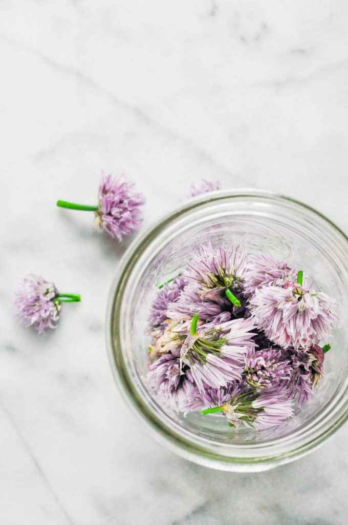 Chive blossoms in a jar.