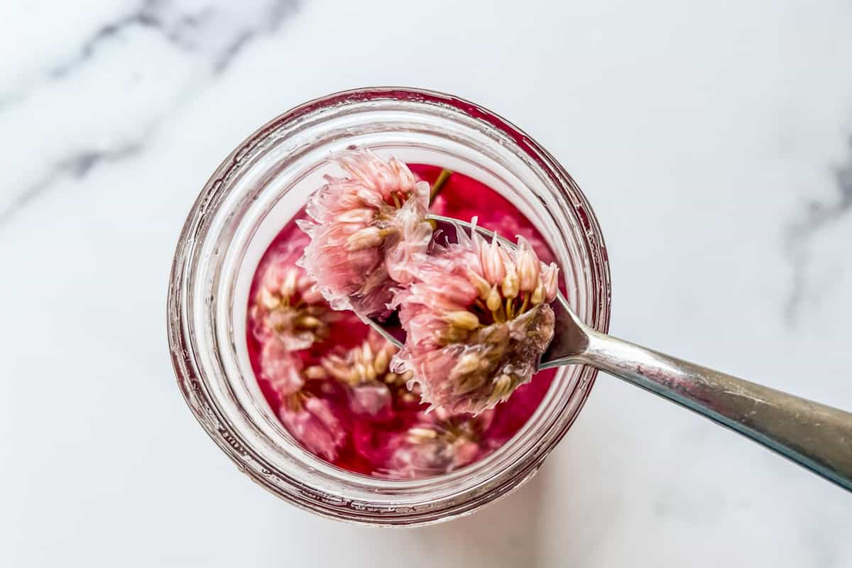 Scooping chive blossoms out of vinegar.