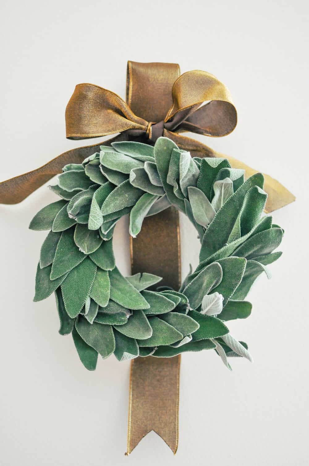 A sage wreath with a golden ribbon in a bow behind it.