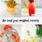 gin cocktail recipes