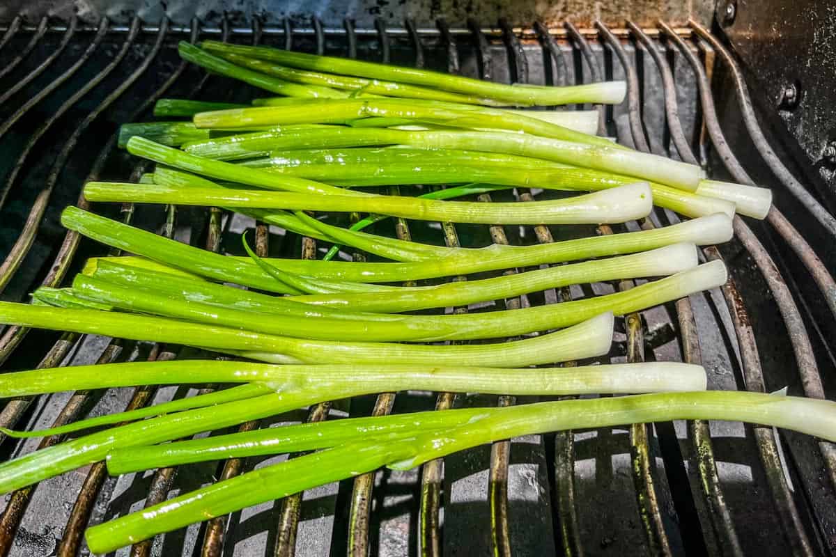Scallions on a grill.