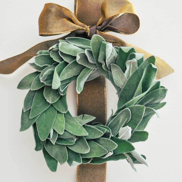 diy sage wreath with gold ribbon