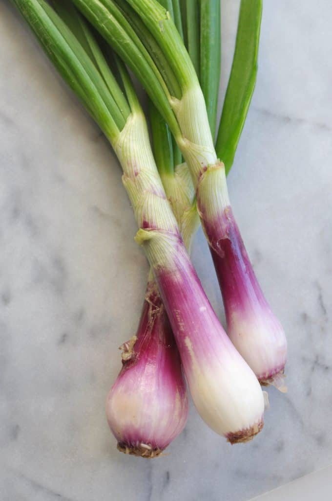 red spring onion