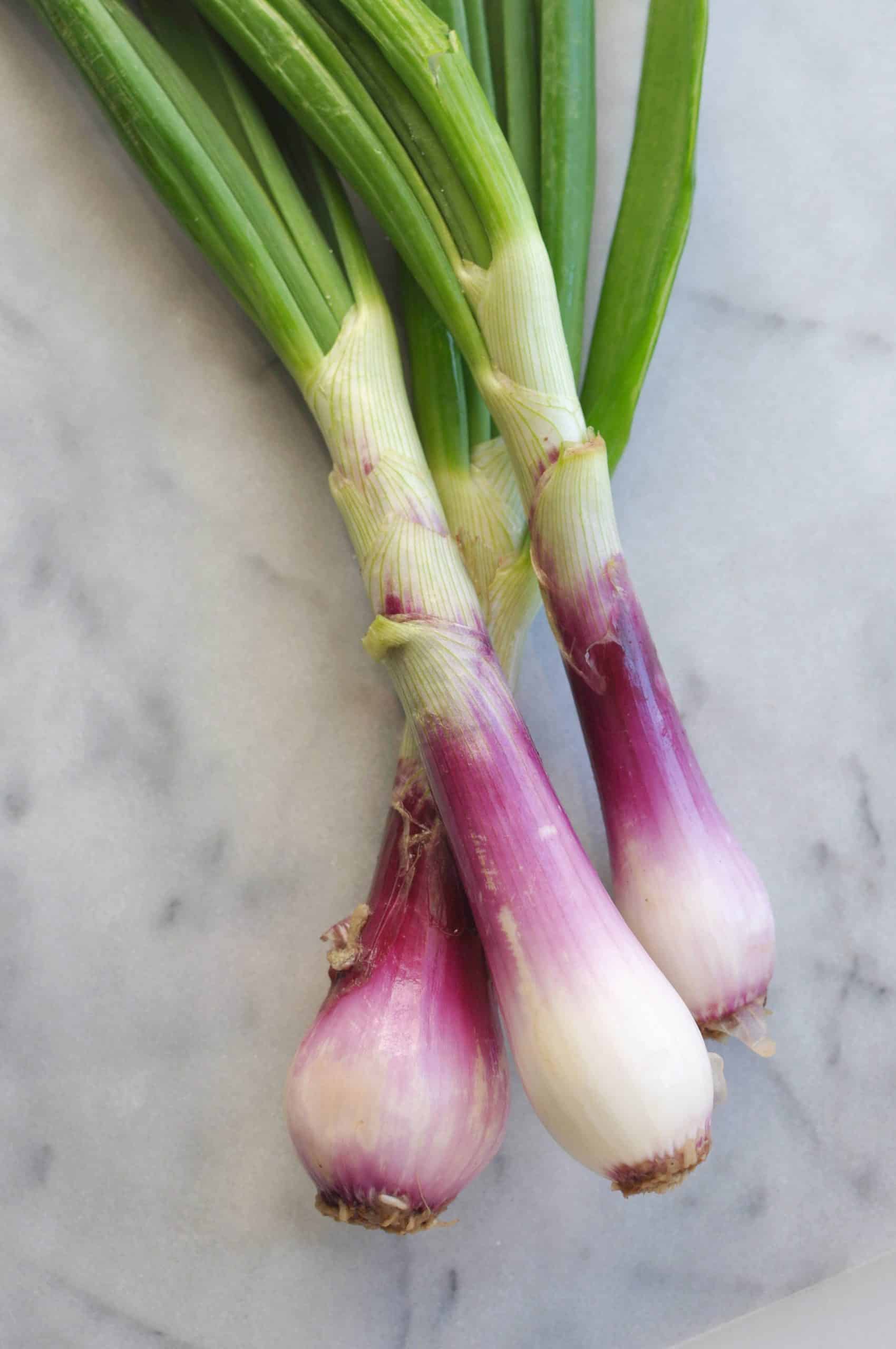 Red springs onions on a marble background.