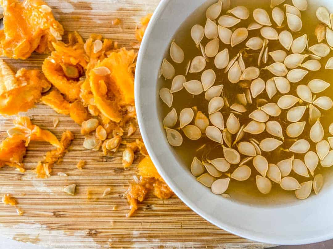 Roasted squash seeds in a bowl of water.
