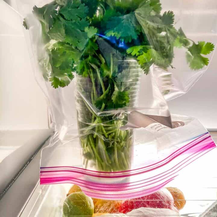 cilantro in the refrigerator, covered with a plastic bag