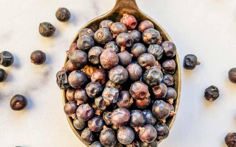 Juniper Berries (How to Use Them + Recipes) this healthy table