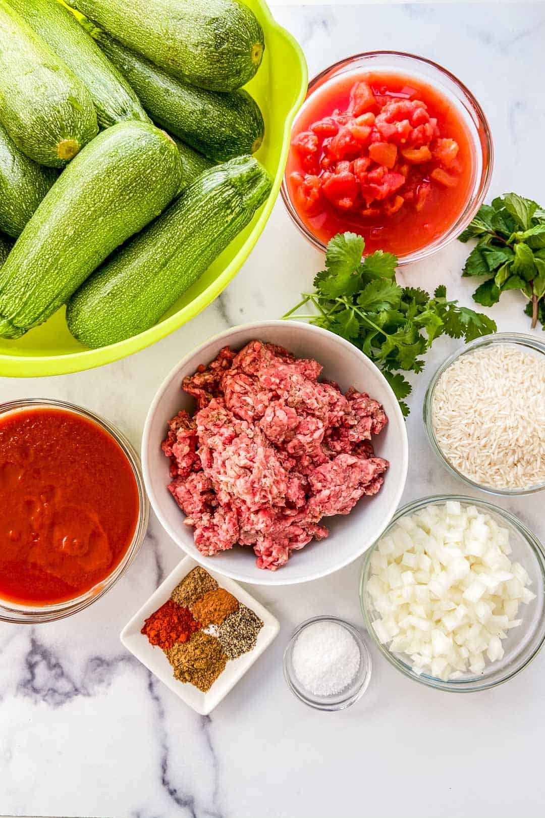 A large bowl of small zucchinis, a bowl of ground beef, two bowls of tomato sauce, a chopped onion, a bowl of rice, some fresh herbs, and some spices.