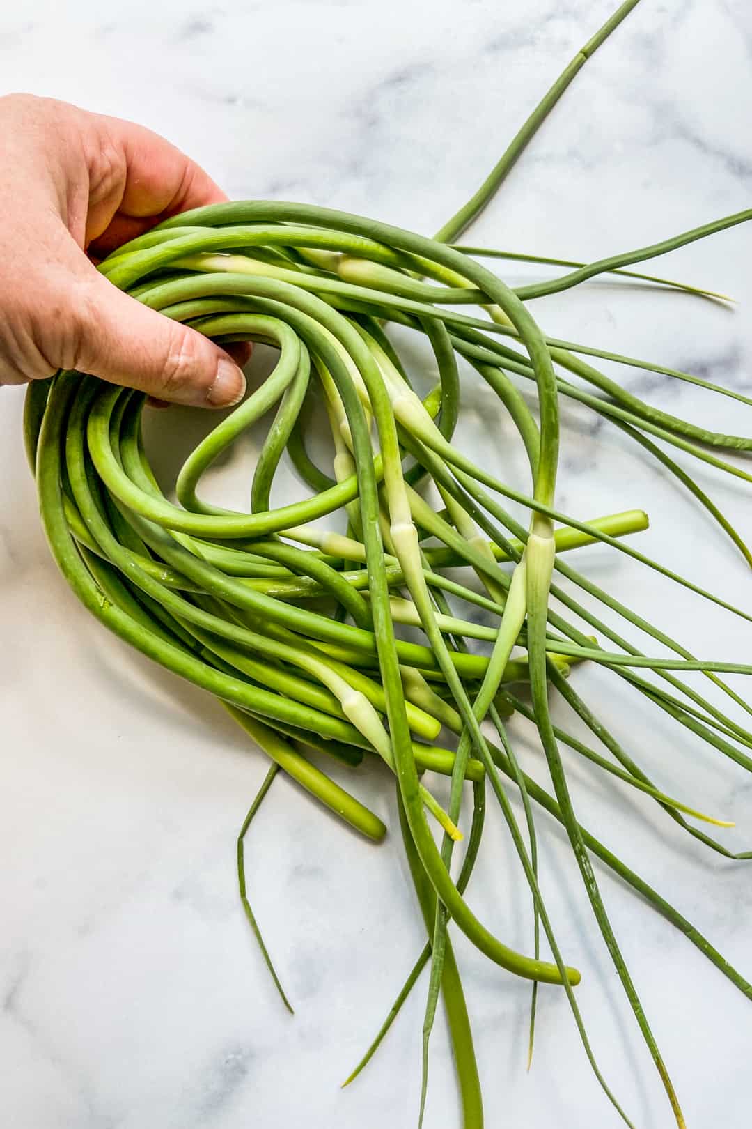 A bunch of garlic scapes.