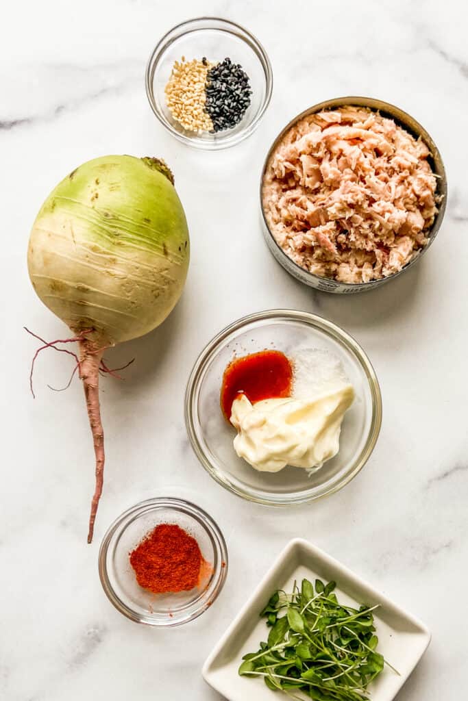 Ingredients for watermelon radish and tuna appetizer bites.