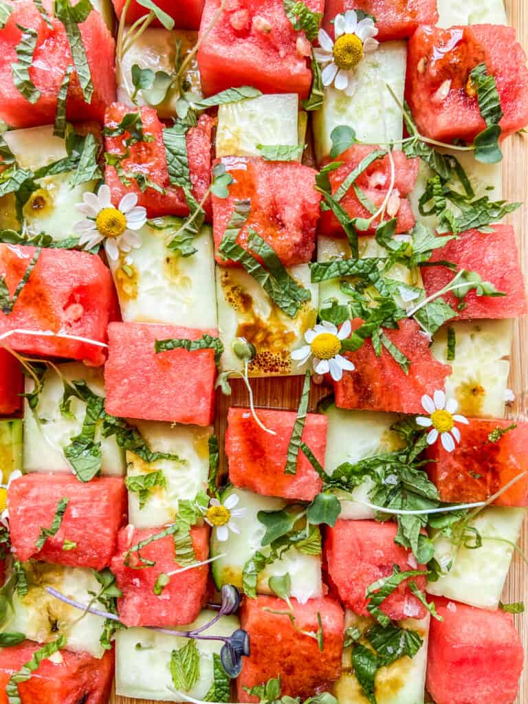 A closeup shot of a cucumber watermelon mosaic salad.