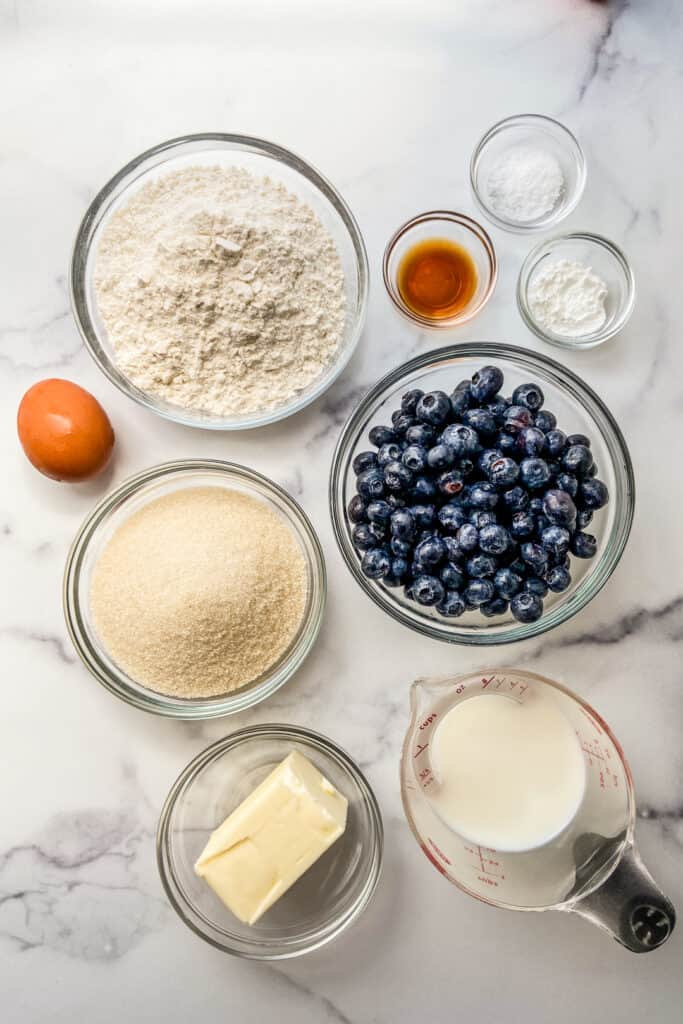 Bowls filled with flour, blueberries, sugar, and butter, next to a measuring cup of milk, a brown egg, and small bowls of vanilla, baking powder, and salt.