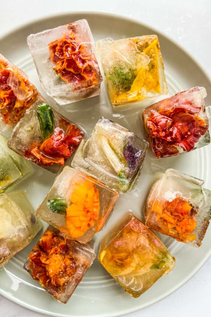 Edible Flower Ice Cubes - GROWING WITH GERTIE