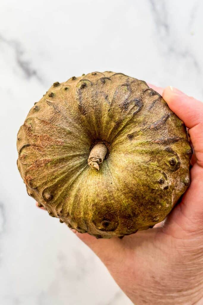 The base of a cherimoya fruit.