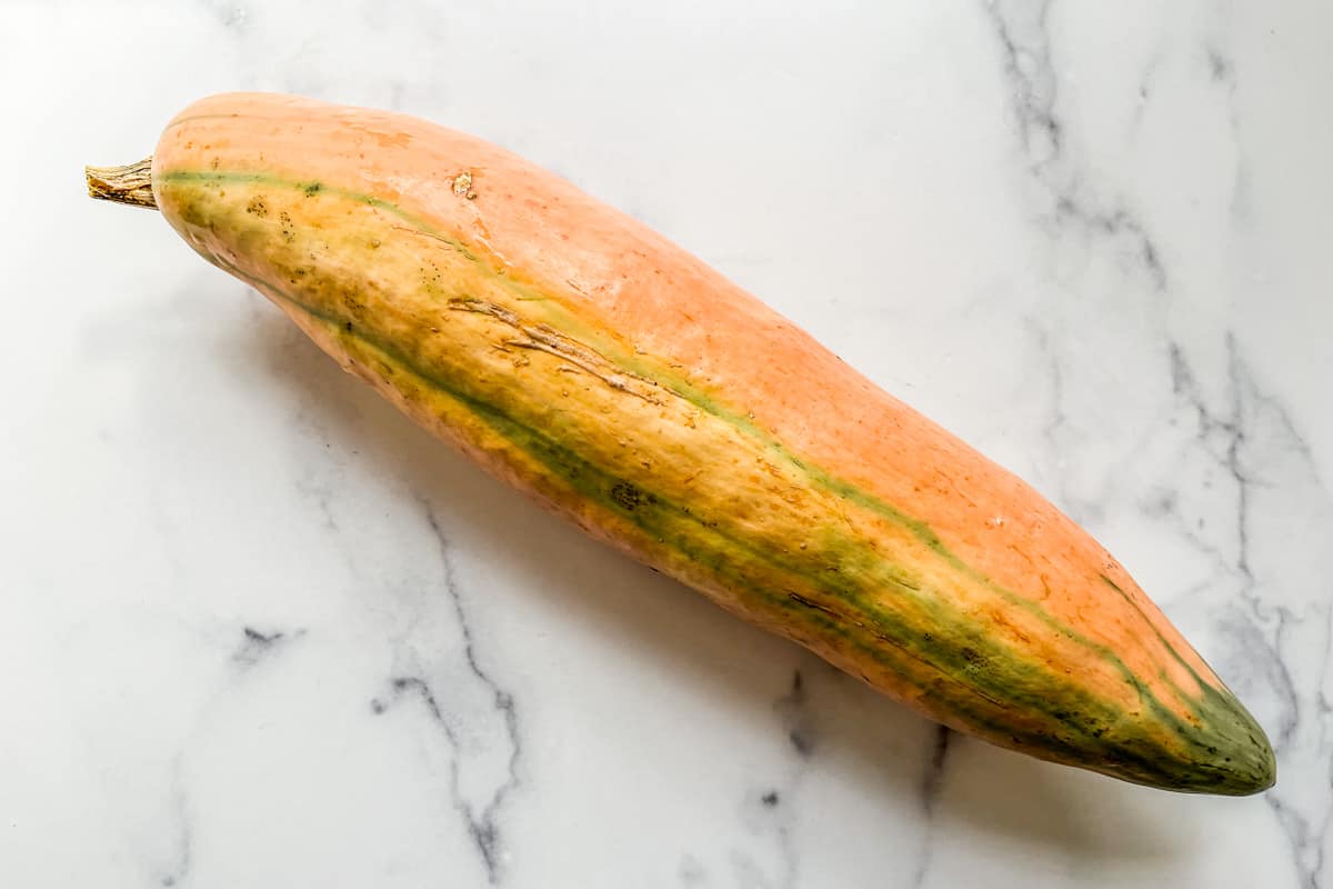 A candy roaster squash on a marble background.