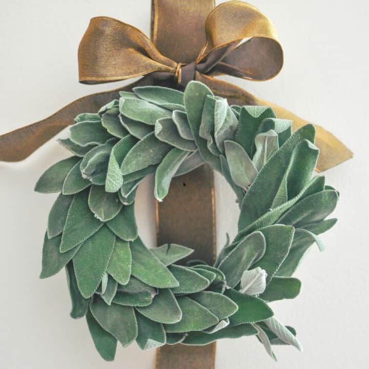 A DIY sage wreath with a gold ribbon.