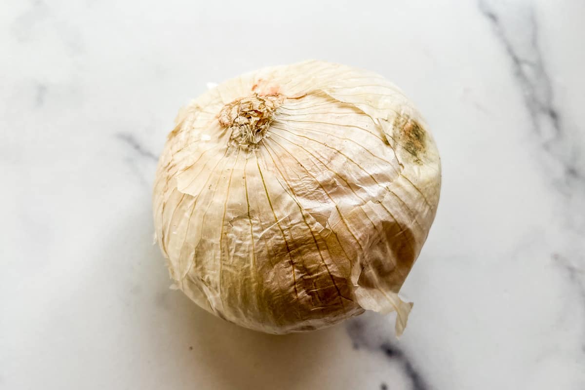 A white onion that has rotted.