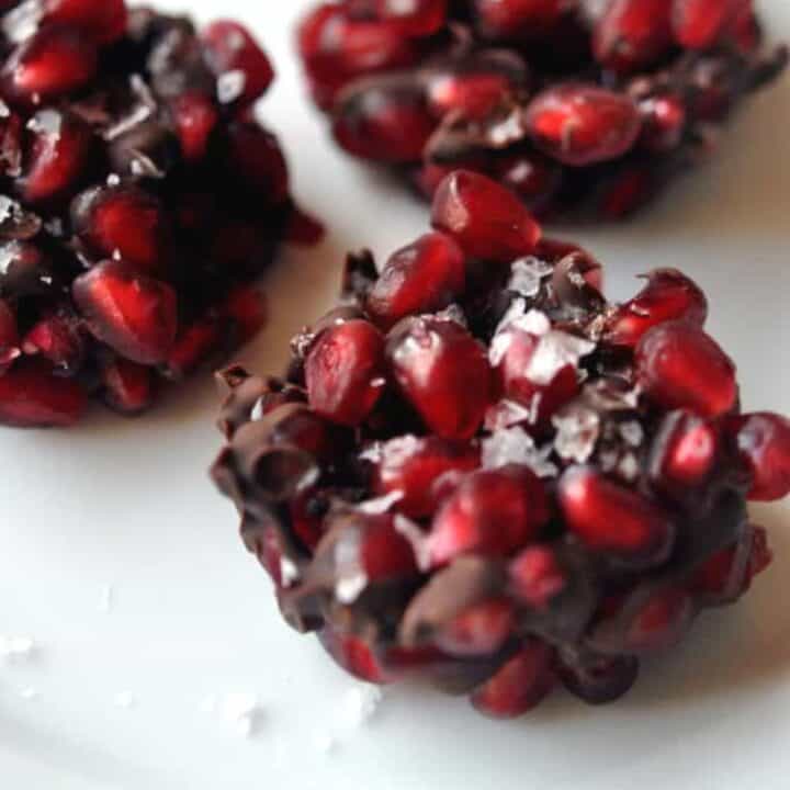 Pomegranate Dark Chocolate Bites