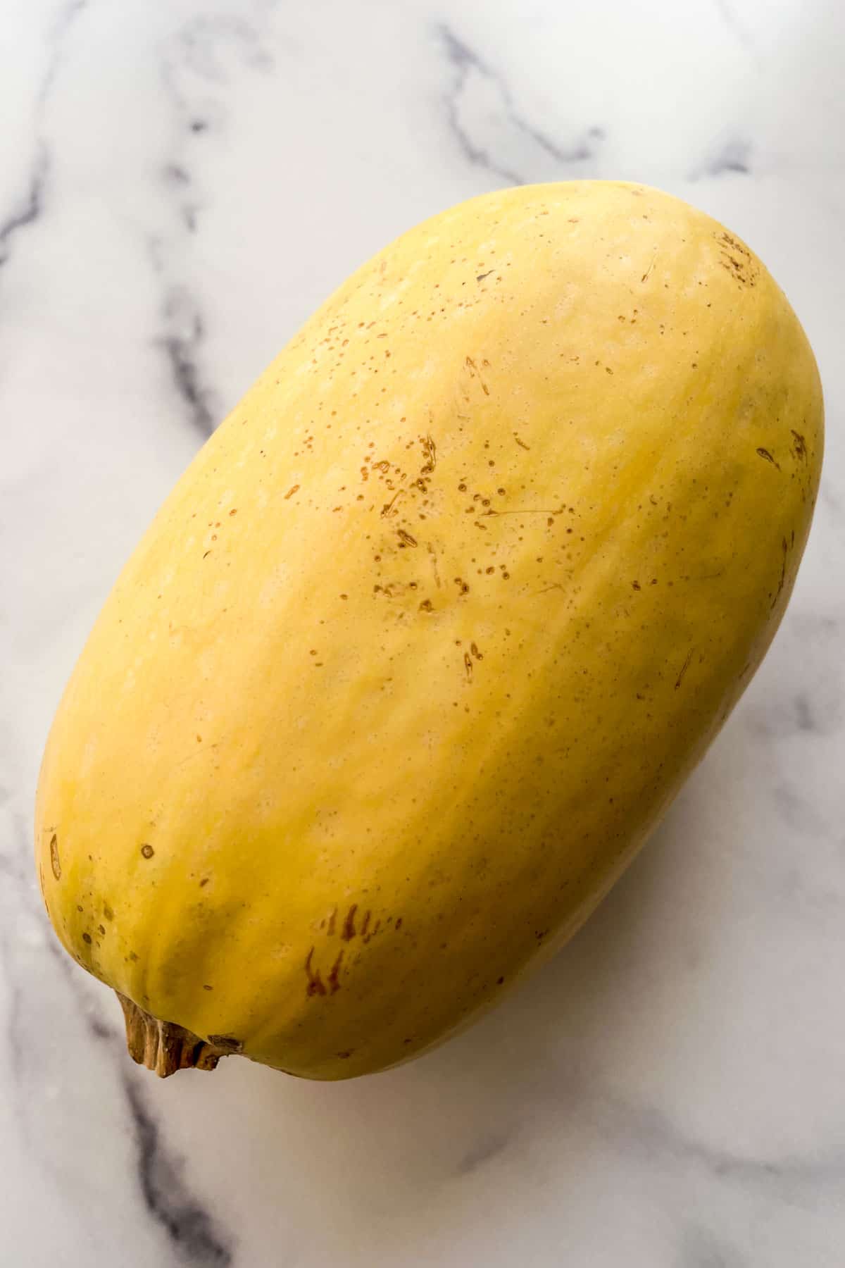 A whole spaghetti squash on a marble background.