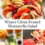 Citrus fennel salad recipe pin graphic.
