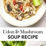 Vegetarian udon noodle soup pin graphic.