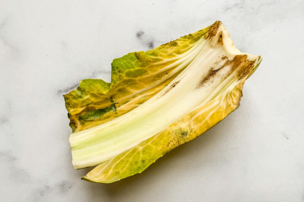 How to Tell if Cauliflower Has Gone Bad (with photos!) This Healthy Table