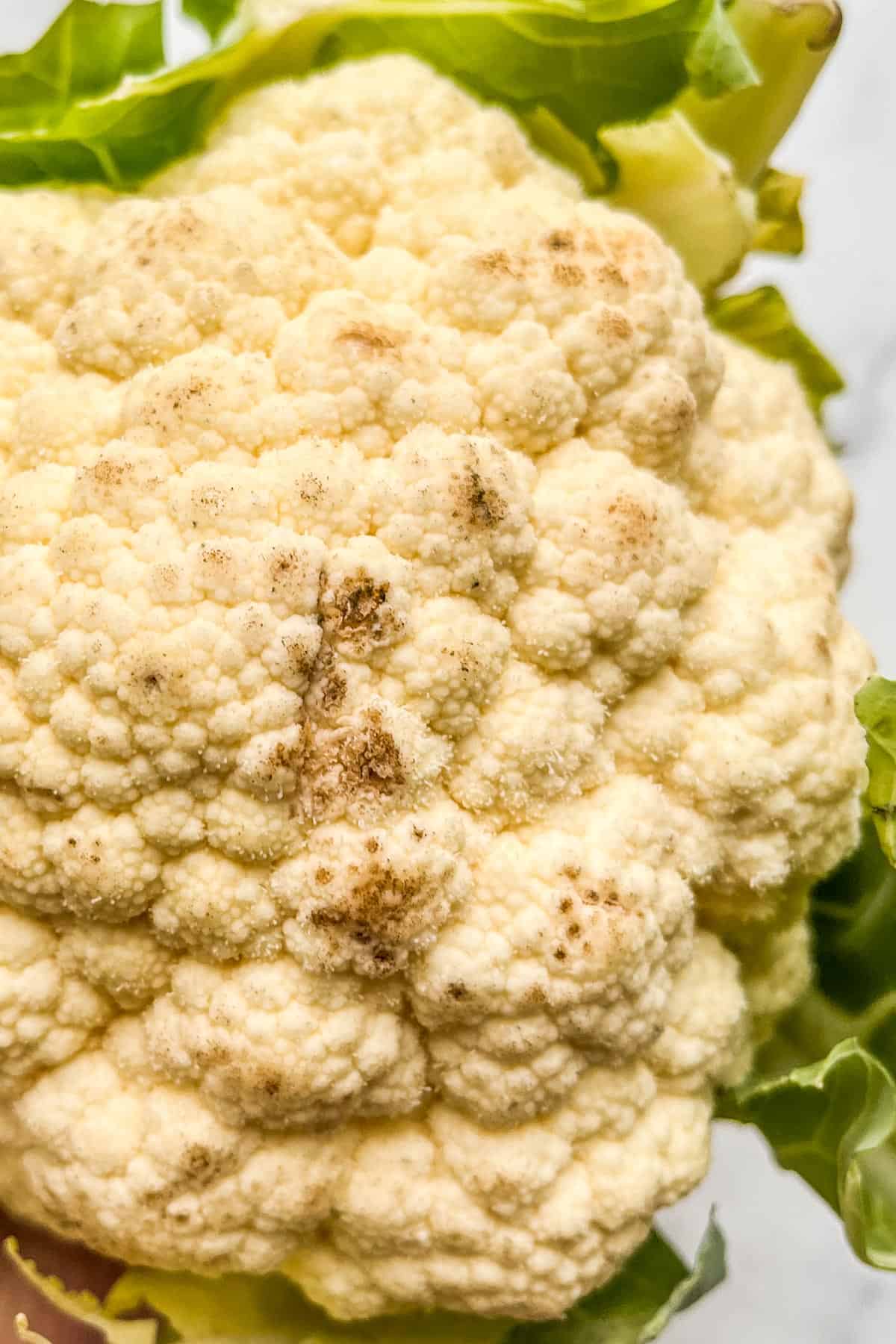 A closeup of mold on cauliflower.
