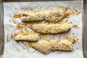 Pollock fillets on a sheet pan after being baked.