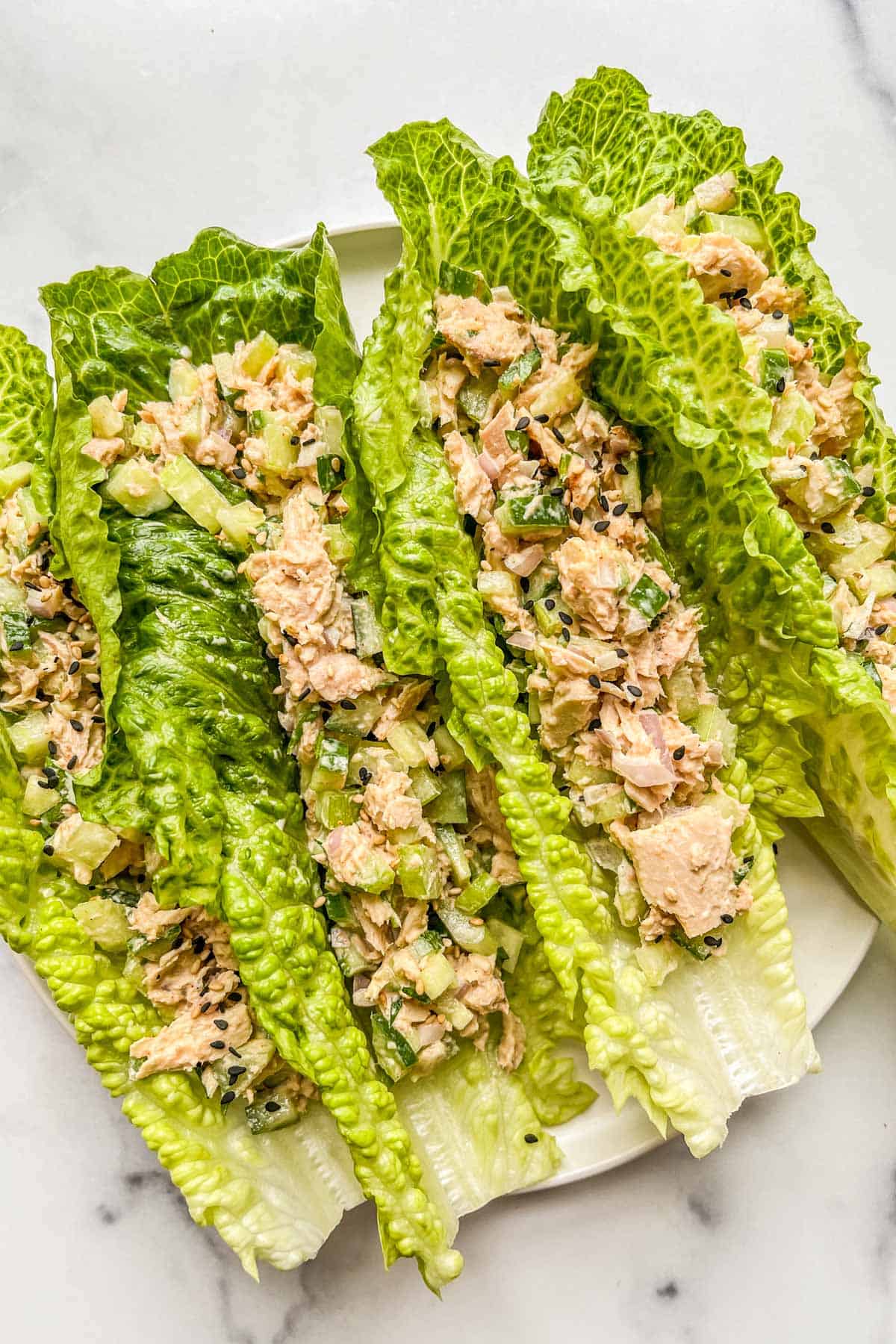 Vegetarian Lettuce Cups Stuffed with Greek Salad