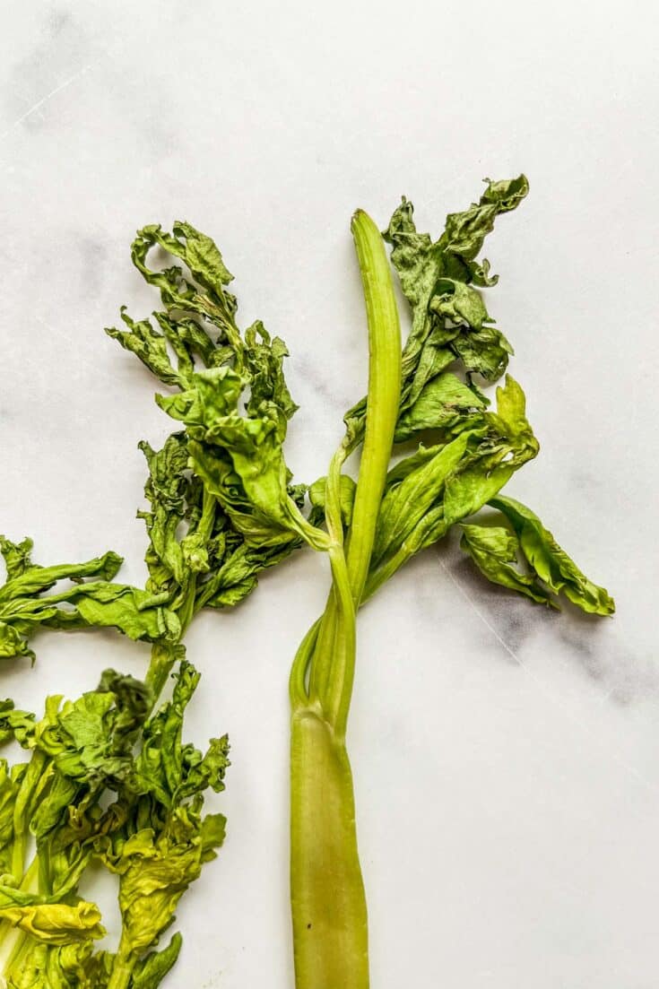 How to Tell if Celery Has Gone Bad (with photos!) This Healthy Table