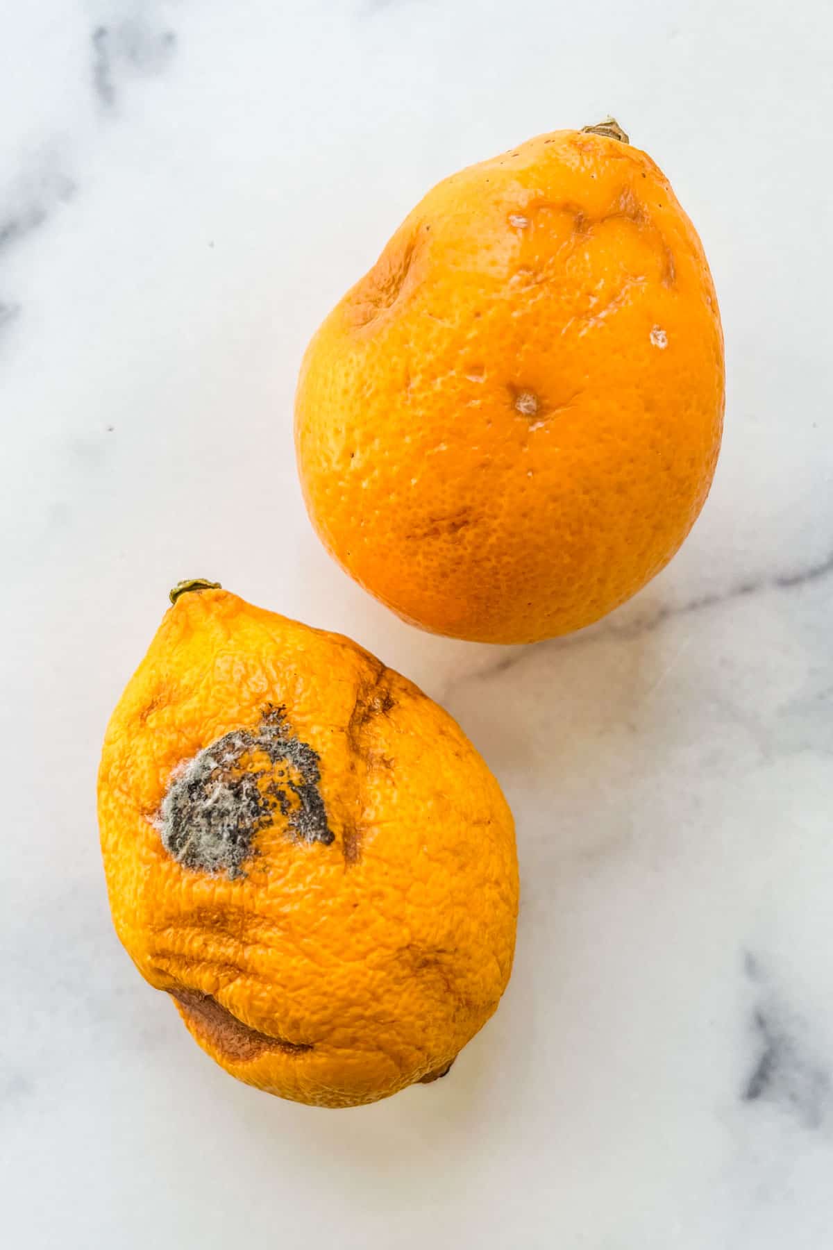 Mold On Lemon Peel