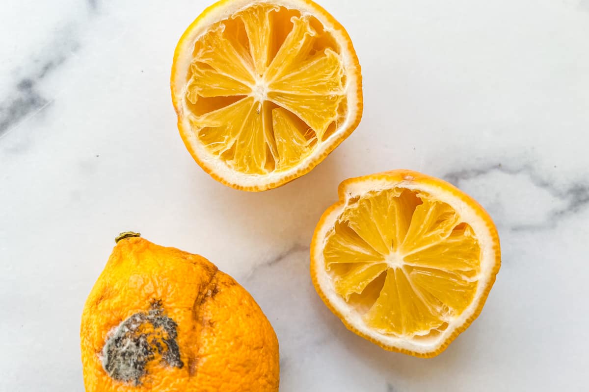 A rotten lemon cut in half next to a molding lemon.