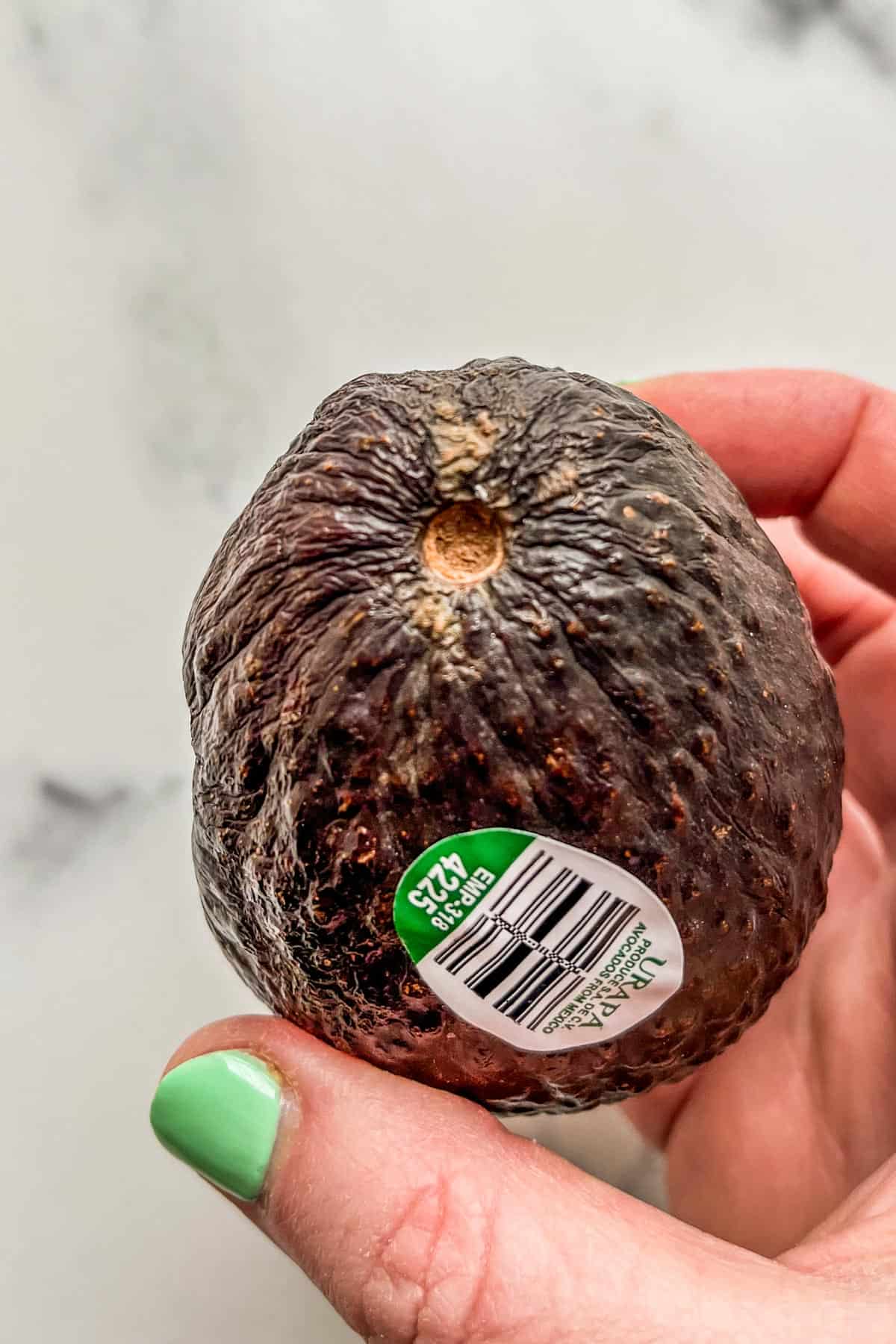 An avocado with a dark stem area.