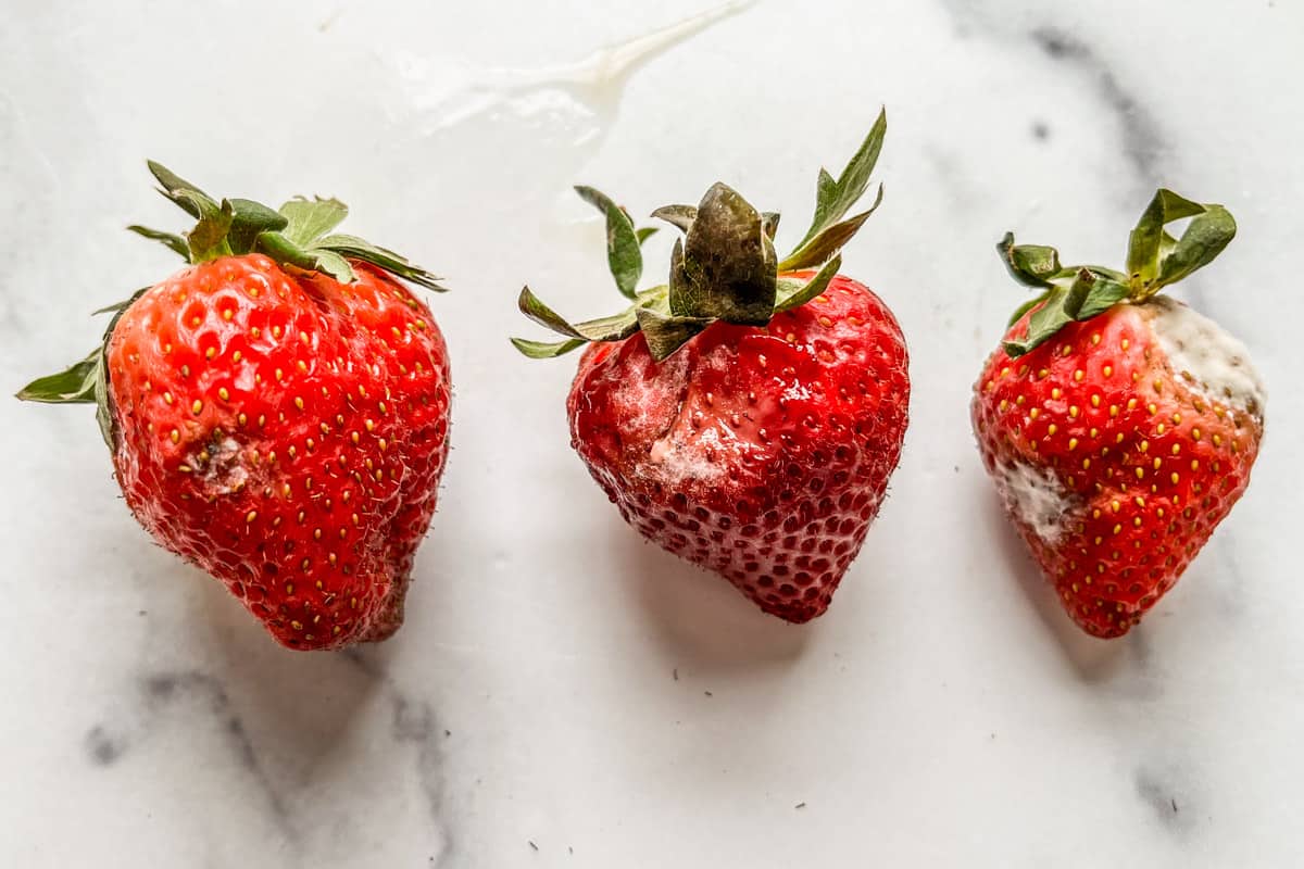 Is It Safe To Eat Moldy Strawberries?