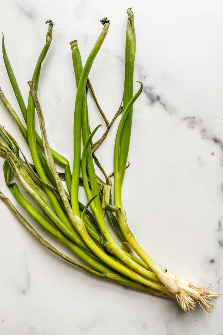 How To Tell If Green Onions Have Gone Bad (with Photos!) - This Healthy ...