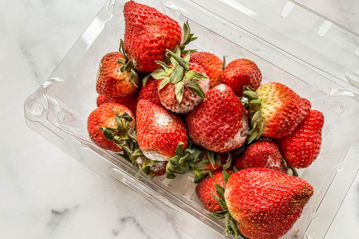 How to Tell if Strawberries Are Bad (with photos!) This Healthy Table