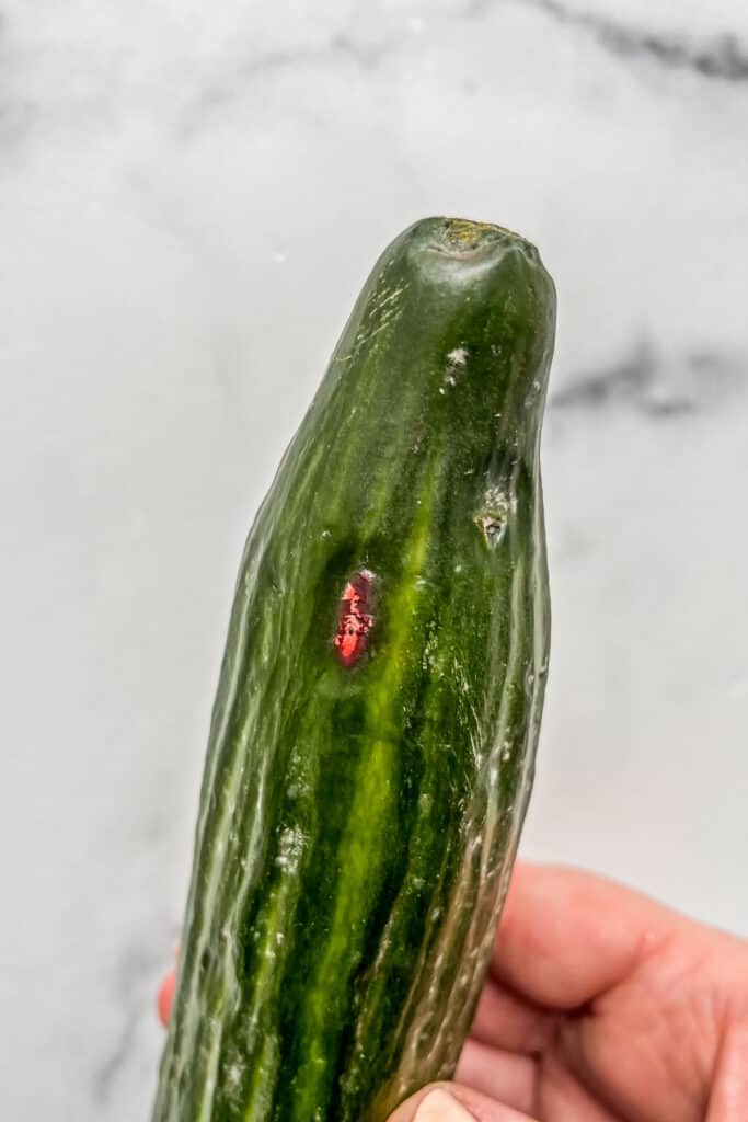 How To Tell If Cucumbers Have Gone Bad with Photos This Healthy Table how-to-tell-if-cucumbers-have-gone-bad-with-photos-this-healthy-table