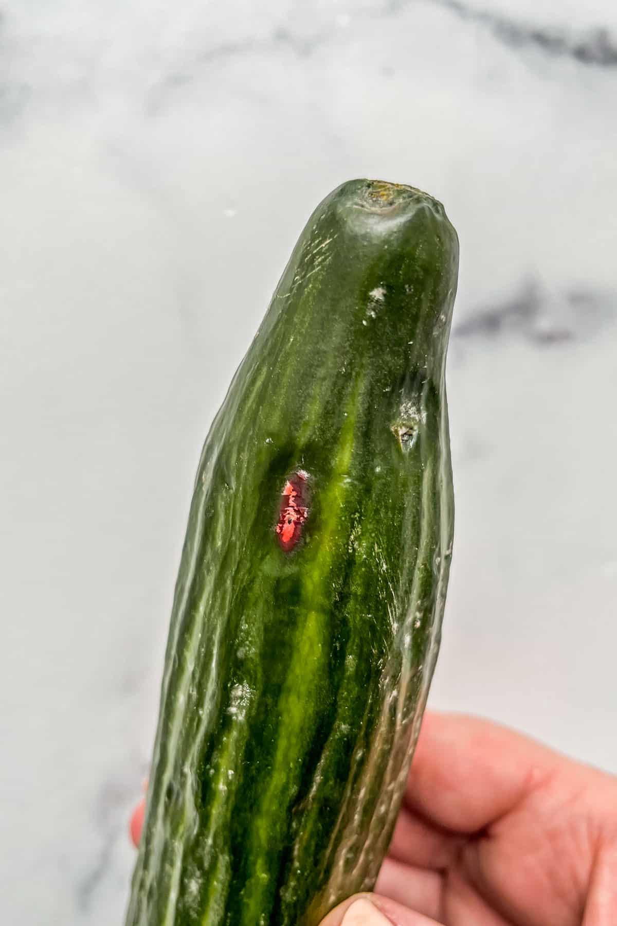 Cucumber with red mold.