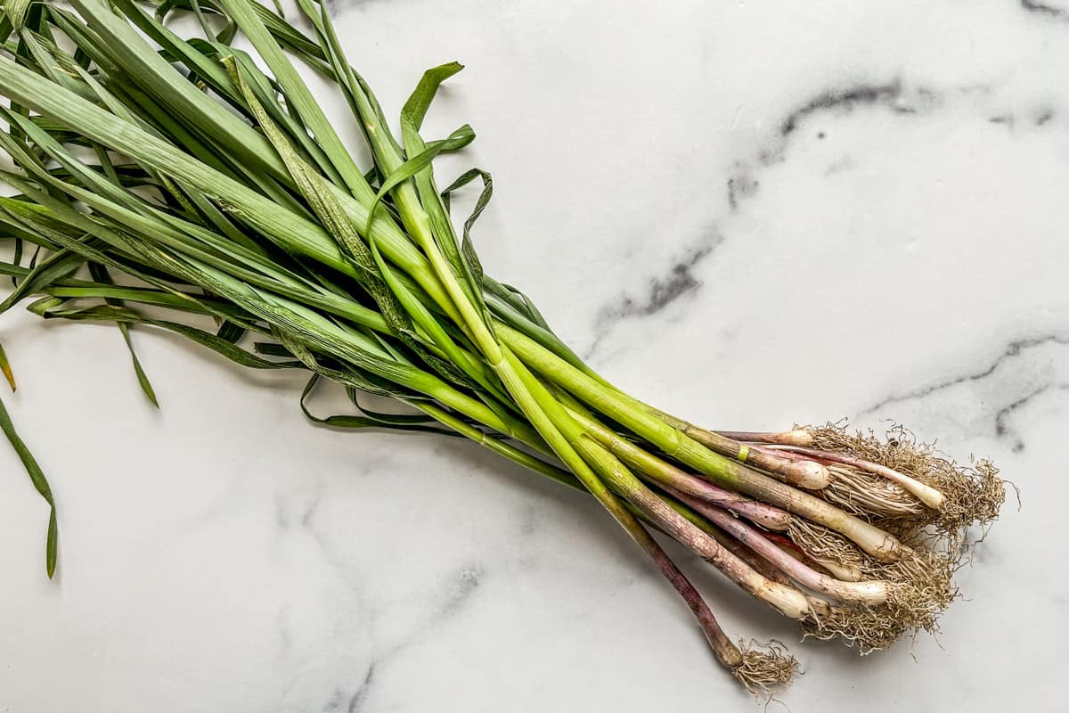 A bunch of green garlic.