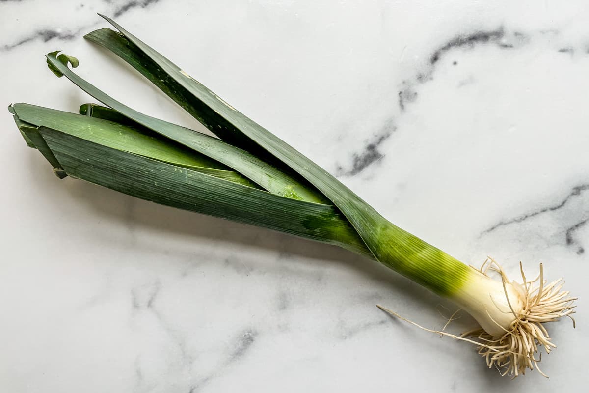 A large leek.