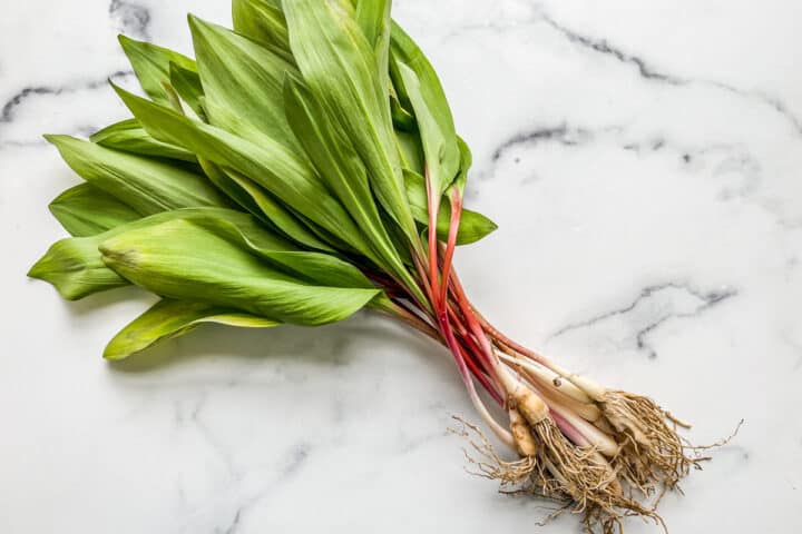 The Best Substitutes for Chives - This Healthy Table