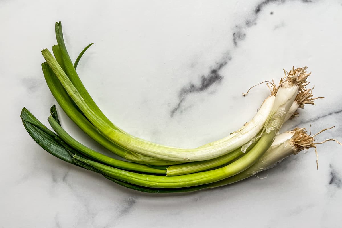 Best Leek Substitutes - Savor + Savvy