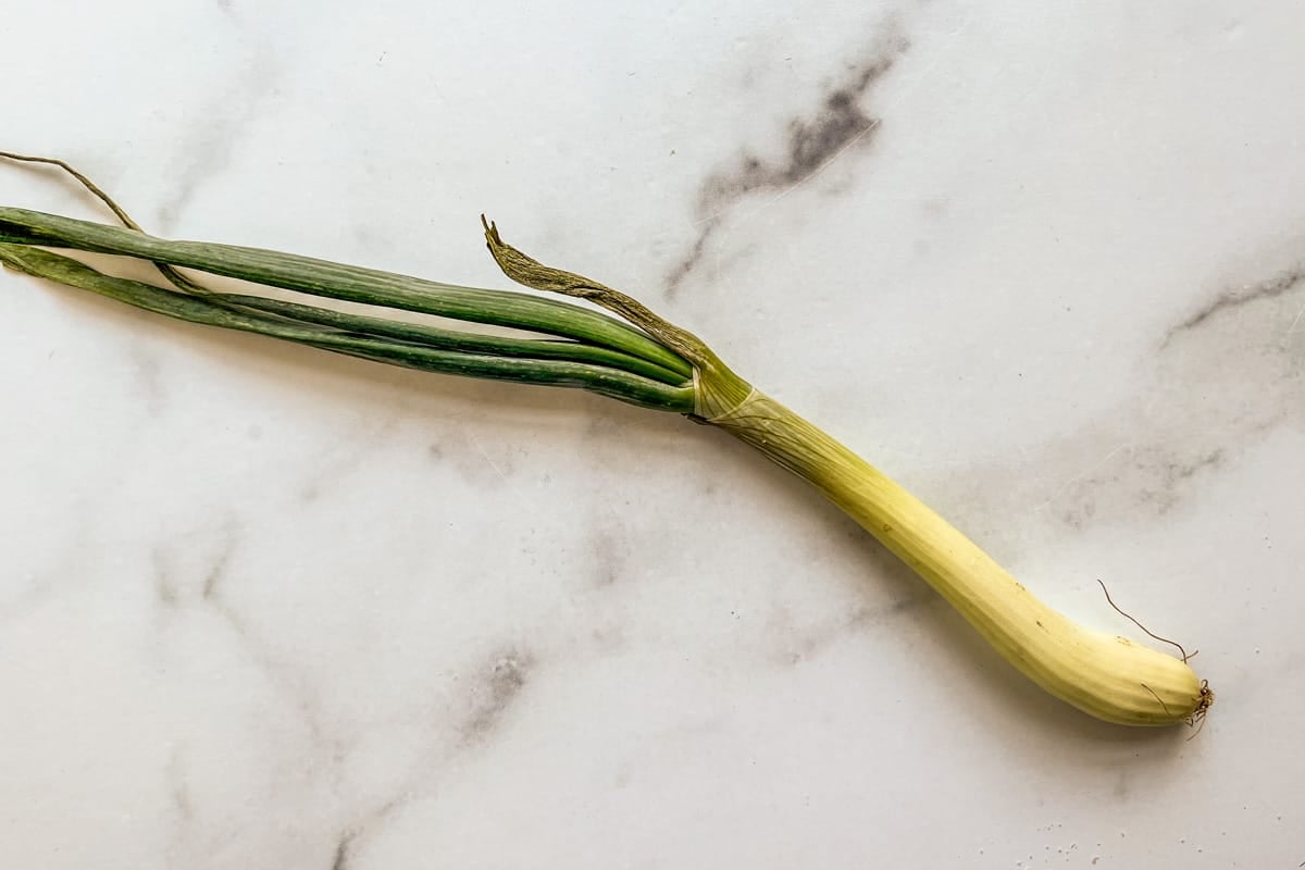 The 5 Best Substitutes for Chives - The Spice House