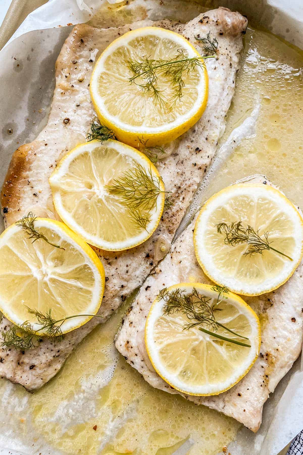 Two baked whitefish fillets topped with lemon slices and dill.