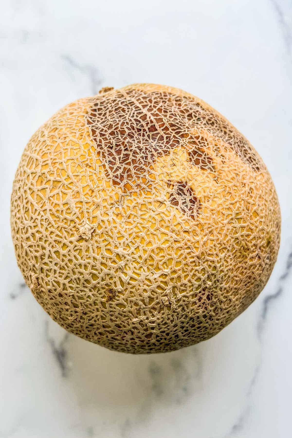 A cantaloupe with dark brown bruising and soft spots.