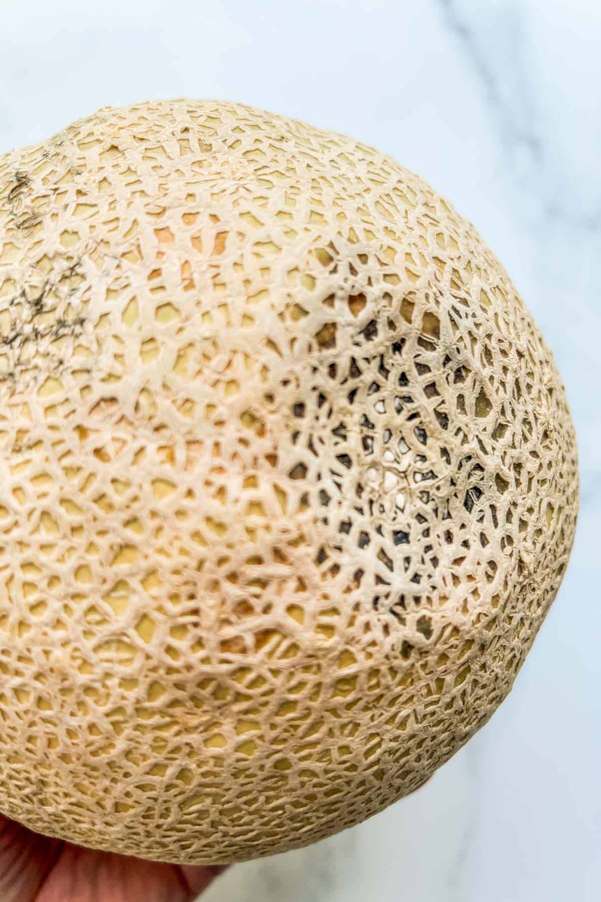 A cantaloupe with a soft spot and mold.